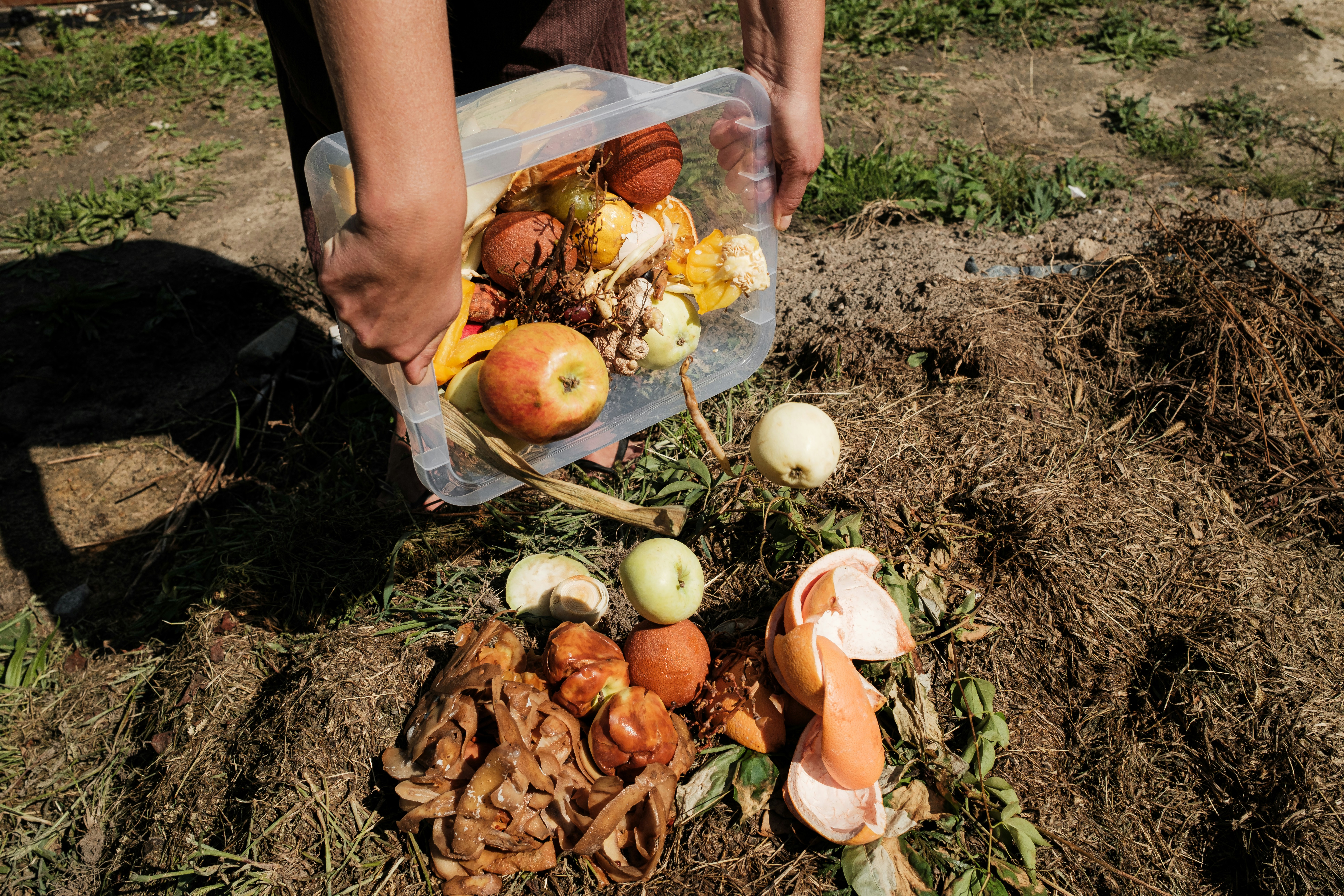 Sustainable Living: How to Start Composting at Home